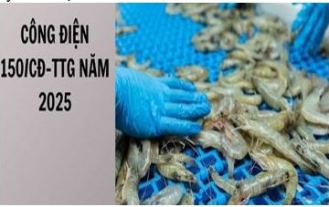 Thủ tướng yêu cầu truy xuất nguồn gốc, đảm bảo chất lượng  và uy tín sản phẩm nông lâm, thủy sản xuất khẩu