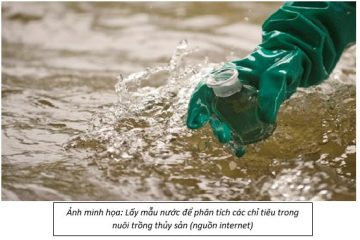 Kết quả quan trắc, cảnh báo môi trường nước nuôi trồng thủy sản  tại TP. Hồ Chí Minh (ngày thu mẫu 22/8/2025)   