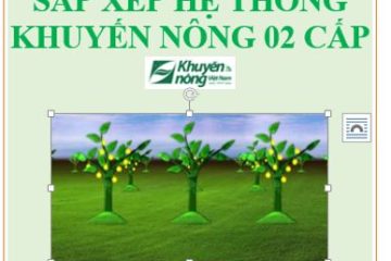 Kiện toàn hệ thống tổ chức thực hiện nhiệm vụ khuyến nông ở địa phương