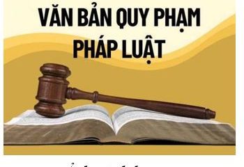 Quy định về quy trình xây dựng văn bản quy phạm pháp luật trên địa bàn Thành phố Hồ Chí Minh
