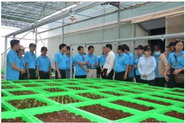 Kinh tế tập thể nông nghiệp TP.HCM: Từ 3 vùng đất đến 1 hướng đi chung