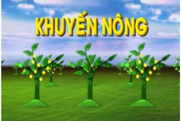 Thiết lập hệ thống khuyến nông hai cấp trong bối cảnh mới