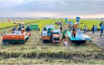 Chuyển đổi trồng trọt giảm phát thải cần gắn liền hạ tầng, nguồn lực