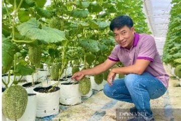 Nông dân thế hệ mới tại TP.HCM kiến nghị được “cầm tay chỉ việc”  công nghệ, kỹ thuật mới nhất