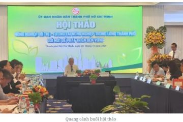 TPHCM: Nông nghiệp đô thị – đổi mới để phát triển bền vững