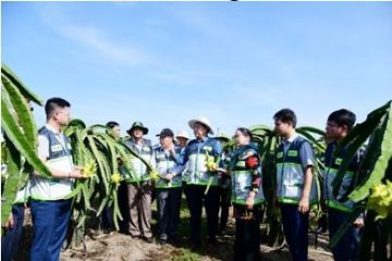 Hệ sinh thái Khuyến nông mới: Kết nối sản xuất – thị trường – môi trường, lấy nông dân làm trung tâm