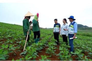 ‘Cách mạng’ khuyến nông: Hiện đại hóa toàn diện để phụng sự nhân dân
