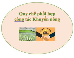 Quy chế phối hợp công tác Khuyến nông với mô hình thực hiện chính quyền 02 cấp