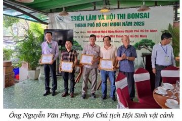 Hội thi và triển lãm Bonsai mini tại Thành phố Hồ Chí Minh