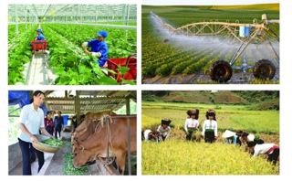 Kết luận của Bộ Chính trị về tiếp tục thực hiện Nghị quyết số 19-NQ/TW về nông nghiệp, nông dân, nông thôn đến năm 2030, tầm nhìn đến năm 2045