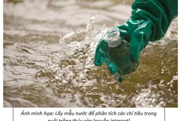 Kết quả quan trắc, cảnh báo môi trường nước nuôi trồng thủy sản  trên địa bàn TP. Hồ Chí Minh (ngày thu mẫu 27/11/2025)   