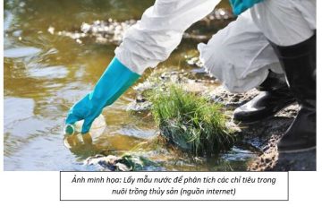 Kết quả quan trắc, cảnh báo môi trường nước nuôi trồng thủy sản  trên địa bàn TP. Hồ Chí Minh (ngày thu mẫu 13/11/2025)