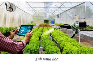 Quản lý trồng trọt và bảo vệ thực vật thông qua việc triển khai nền tảng số