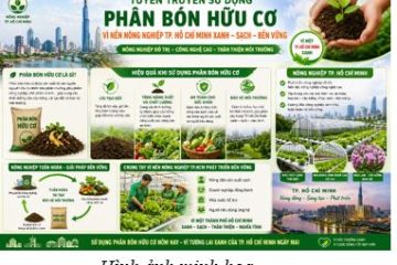 Triển khai Đề án phát triển sản xuất và sử dụng phân bón hữu cơ đến năm 2030, tầm nhìn đến 2050 trên địa bàn Thành phố