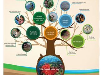 Tiếp tục thực hiện các hoạt động phối hợp về bảo vệ động vật hoang dã, bảo tồn đa dạng sinh học và nguồn lợi thủy sản   