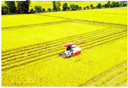 Nông sản Việt ‘rộng cửa’ vào thị trường tỷ dân