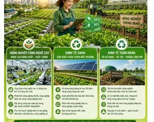 Giai đoạn 2026-2030 TP.HCM ưu tiên thu hút đầu tư vào công nghệ cao, kinh tế xanh, kinh tế tuần hoàn