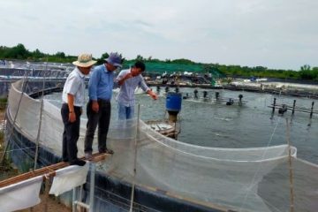 Góp ý dự thảo “Quyết định ban hành định mức kinh tế kỹ thuật về khuyến nông trên địa bàn Thành phố Hồ Chí Minh”