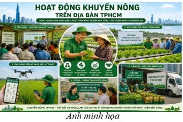 Kế hoạch thực hiện hoạt động khuyến nông trên địa bàn Thành phố Hồ Chí Minh năm 2026