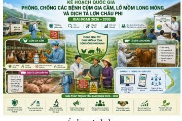 Kế hoạch quốc gia phòng, chống các bệnh Cúm gia cầm, Lở mồm long móng và Dịch tả lợn Châu Phi giai đoạn 2026-2030
