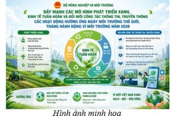 Bộ Nông nghiệp và Môi trường: Đẩy mạnh các mô hình phát triển xanh, kinh tế tuần hoàn và đổi mới công tác thông tin, truyền thông các hoạt động hưởng ứng Ngày Môi trường Thế giới, Tháng hành động vì Môi trường năm 2026
