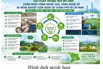 05 giải pháp hướng đến mô hình chăn nuôi công nghệ cao, công nghệ số và nông nghiệp tuần hoàn tại Thành phố Hồ Chí Minh