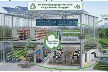 TP.HCM: Hướng tới 60% diện tích rau trồng có truy xuất nguồn gốc vào năm 2030