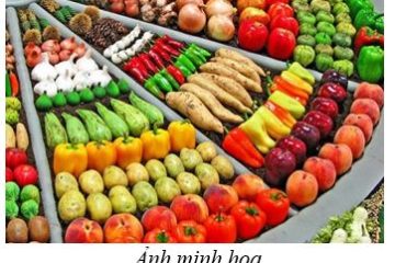 4 tháng đầu năm 2026, nhóm hàng nông – lâm – thủy sản xuất siêu 5,39 tỷ USD