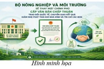 Bộ Nông nghiệp và Môi trường sẽ thay mặt Chính phủ cấp văn bản chấp thuận trao đổi quốc tế, chuyển giao kết quả giảm nhẹ phát thải khí nhà kính và tín chỉ các-bon