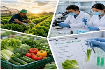 Thành phố Hồ Chí Minh triển khai chương trình “đồng hành cùng nông sản sạch” giai đoạn 2026 – 2030