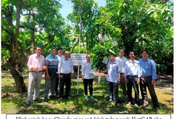 Sở Nông nghiệp và Môi trường tham mưu trình Ủy ban nhân dân Thành phố về Quyết định ban hành định mức kinh tế kỹ thuật về khuyến nông trên địa bàn Thành phố Hồ Chí Minh thay thế “Quyết định số 64/2024/QĐ-UBND của Ủy ban nhân dân Thành phố Hồ Chí Minh; Quyết định số 18/2022/ QĐ-UBND của Ủy ban nhân dân tỉnh Bà Rịa – Vũng Tàu; Quyết định số 29/2024/QĐ-UBND của Ủy ban nhân dân tỉnh Bình Dương”.