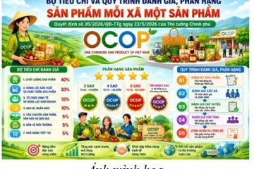 Bộ tiêu chí và quy trình đánh giá, phân hạng sản phẩm mỗi xã một sản phẩm