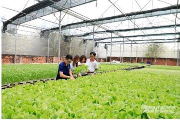 Chuyển mình từ Nghị quyết 57: [Bài 1] ‘Cánh đồng số’ giữa lòng đô thị