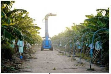 Chuyển mình từ Nghị quyết 57: [Bài 2] Doanh nghiệp dẫn lối