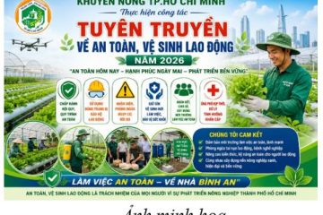 Khuyến nông Thành phố Hồ Chí Minh thực hiện công tác tuyên truyền về an toàn, vệ sinh lao động năm 2026
