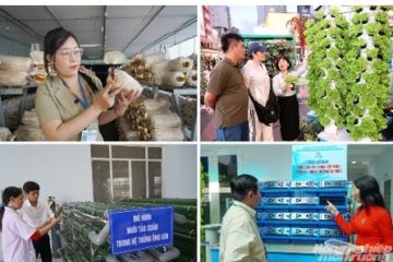 Chuyển mình từ Nghị quyết 57: [Bài 3] Trung tâm nông nghiệp công nghệ cao