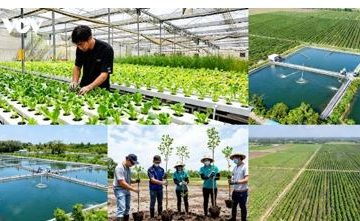 TP.HCM nâng tầm nông nghiệp đô thị