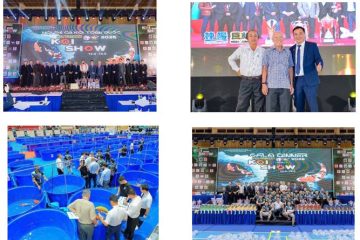 Hội thi Cá Koi toàn quốc năm 2026 diễn ra tại Thành phố Hồ Chí Minh