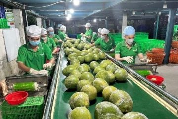 Thành phố Hồ Chí Minh tiếp sức nông sản Việt chinh phục thị trường toàn cầu