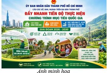 Ủy ban nhân dân Thành phố Hồ Chí Minh yêu cầu các Sở, ban, ngành trên địa bàn Thành phố đẩy nhanh tiến độ thực hiện Chương trình mục tiêu quốc gia xây dựng nông thôn mới, giảm nghèo bền vững và phát triển kinh tế – xã hội vùng đồng bào dân tộc thiểu số và miền núi giai đoạn 2026 – 2030