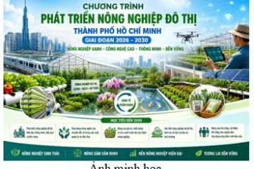 Ủy ban nhân dân Thành phố Hồ Chí Minh ban hành Quyết định Chương trình phát triển nông nghiệp đô thị giai đoạn 2026 – 2030