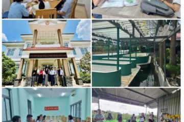 Khảo sát thực trạng phát triển kinh tế tập thể, liên kết sản xuất và tiêu thụ sản phẩm nông nghiệp trên địa bàn Thành phố Hồ Chí Minh