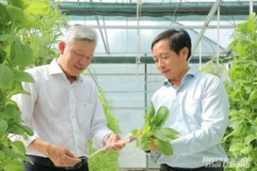 TP.HCM đẩy mạnh truyền thông về kinh tế nông nghiệp