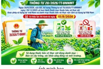 Danh mục thuốc bảo vệ thực vật được và không được sử dụng tại Việt Nam