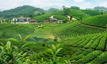 Thái Nguyên mời doanh nghiệp, hợp tác xã tham gia các hoạt động xúc tiến thương mại trọng điểm năm 2026