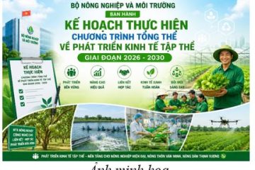 Bộ Nông nghiệp và Môi trường ban hành Kế hoạch thực hiện Chương trình tổng thể về phát triển kinh tế tập thể giai đoạn 2026 – 2030