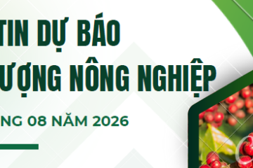 BẢN TIN THÔNG BÁO VÀ DỰ BÁO KHÍ TƯỢNG NÔNG NGHIỆP SỐ THÁNG 8/2026