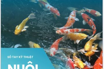 Sổ tay: Nuôi cá Koi thương phẩm
