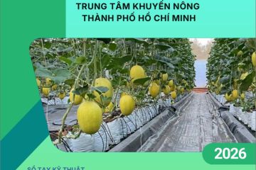 Sổ tay: Hệ thống tưới nhỏ giọt trong rau ăn quả – Kỹ thuật trồng dưa lưới ứng dụng hệ thống tưới nhỏ giọt