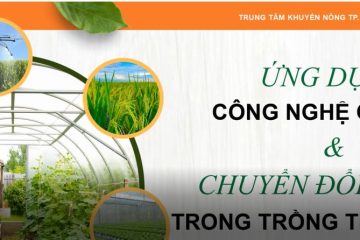 E- Learning: Ứng dụng công nghệ cao và chuyển đổi số trong trồng trọt